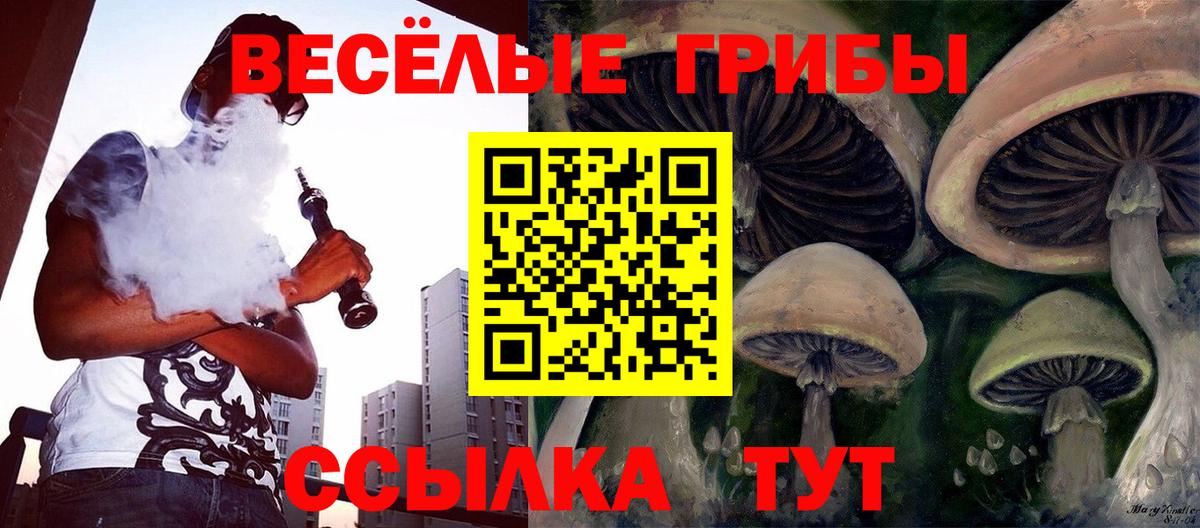 Красноуфимск  Псилоцибиновые грибы мухоморы  Вход с VPN  Псилоцибиновые грибы Psilocybine cubensis 