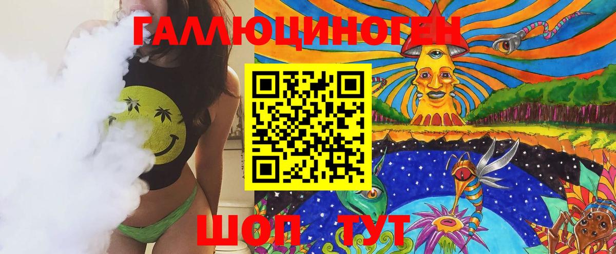 Псилоцибиновые грибы Psilocybe Красноуфимск